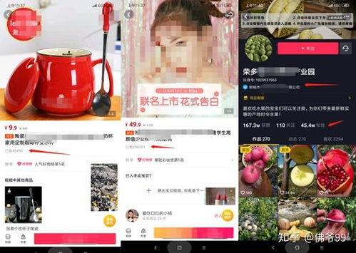 抖音爆红的网红账号名字,揭秘爆红账号背后的魅力与影响力