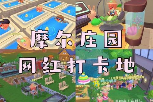 摩尔庄园网红地怎么去,轻松抵达攻略全解析