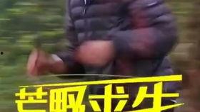 真实的荒岛生存网红版,网红版真实生存挑战记