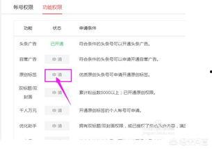 头条发文章如何设置原创,打造个性化内容概述