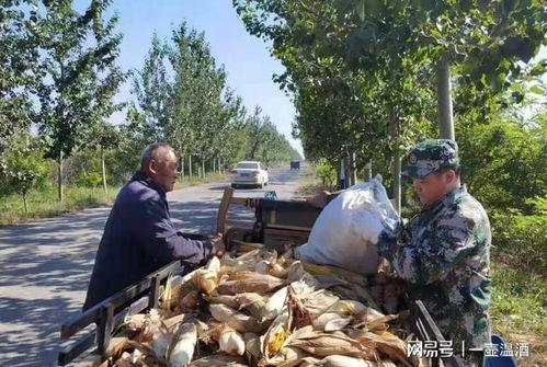 青县吃瓜最新事件爆料新闻,揭秘背后惊人真相