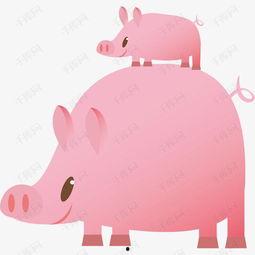 粉色的猪看料图片大全,营养搭配，健康养殖