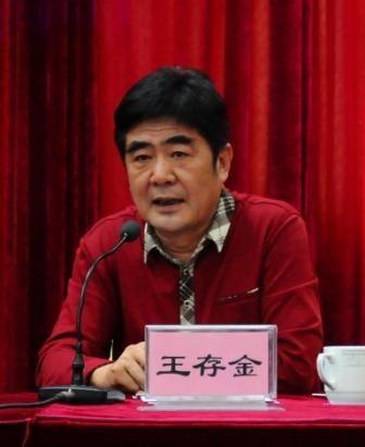 网红王存金,从草根逆袭到网络红人的传奇之路